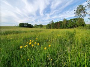 Furze Hill Farm- click for photo gallery